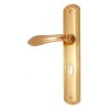 "Lamech" Brass Door Handle with Plate 